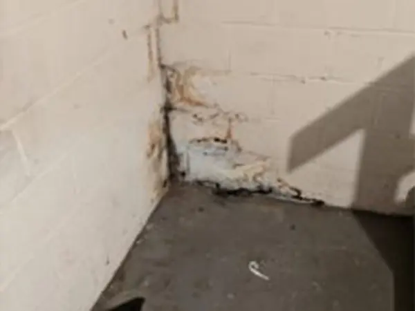 Water damage on basement walls