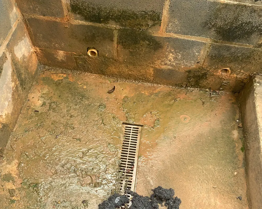 A nasty-looking drain at the front door of a walk-up basement