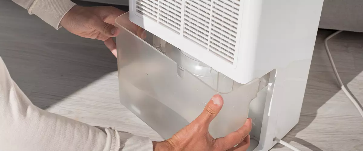 dehumidifier for water damage