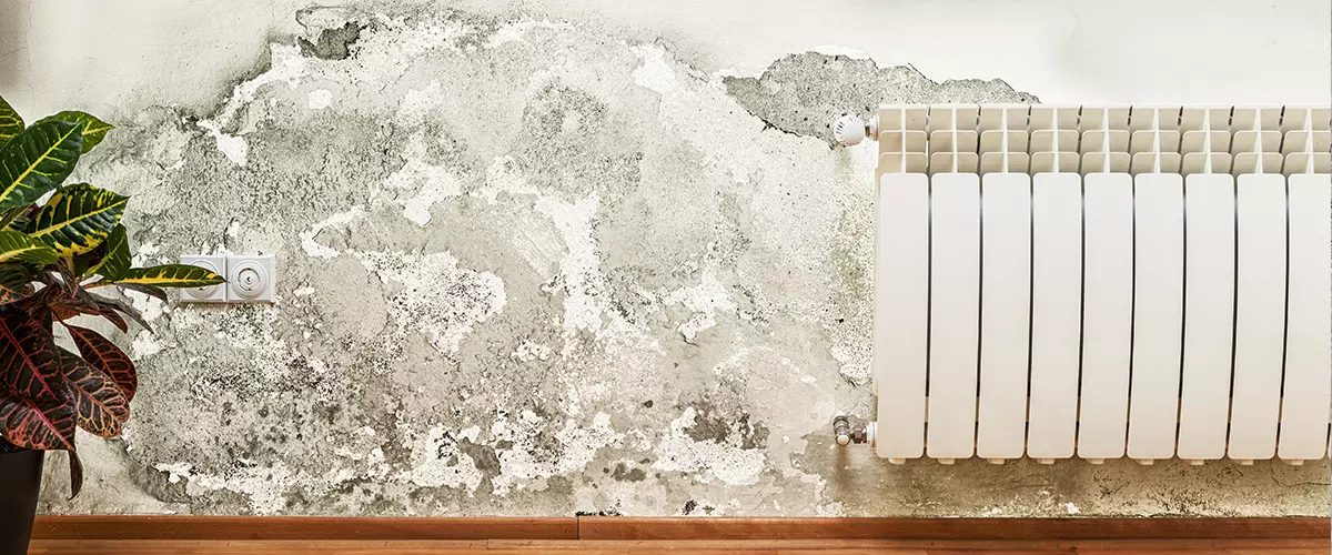 signs of water damage mold wall