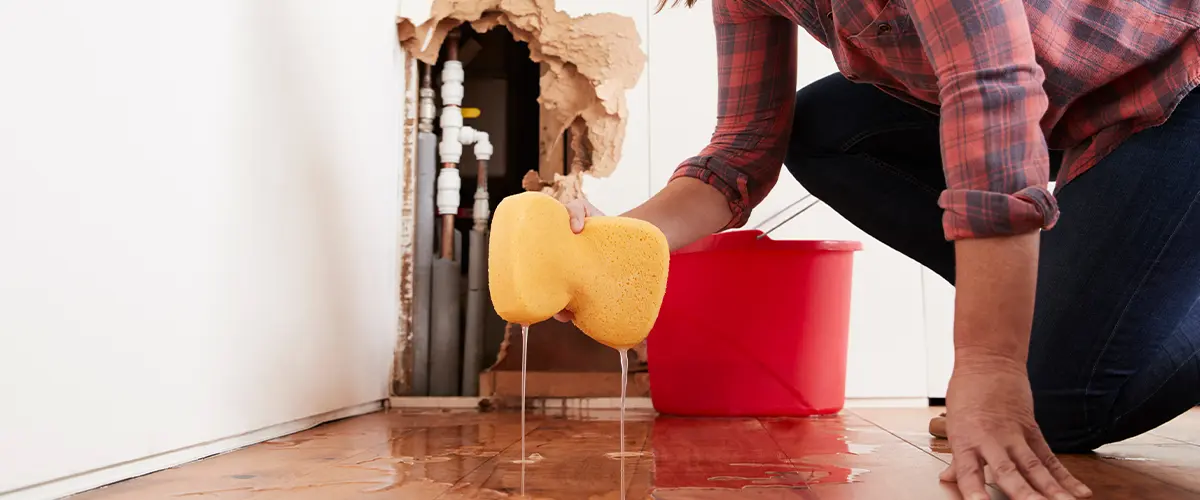 Common Water Damage Problems Houses in MD