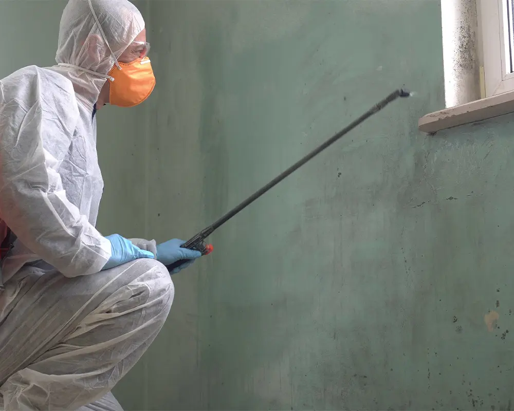 A man in PPE clothing removing mold from a wall inside a home